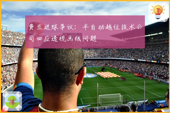 费兰进球争议：半自动越位技术公司回应透视画线问题