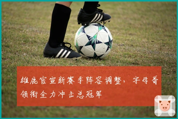 雄鹿官宣新赛季阵容调整，字母哥领衔全力冲击总冠军