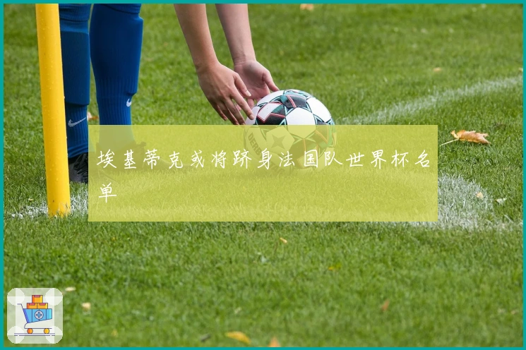 埃基蒂克或将跻身法国队世界杯名单